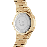 Orologio Daniel Wellington Donna Iconic Link in Acciaio placcato oro giallo DW00100403 - DW00100403